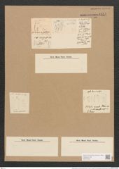 Nitzschia (palea var. fonticola Grunow (de-Toni-Nr.: Genus 47, Species 2127) Zeichnungen Sammlung Grunow Nr. 4554 (NHMW-BOT-W0372267)
